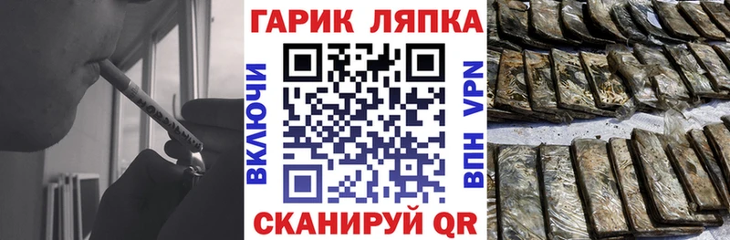как найти закладки  Трубчевск  ГАШИШ индика сатива 