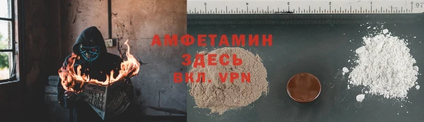 твердый Алексин