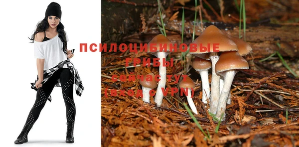 твердый Алексин