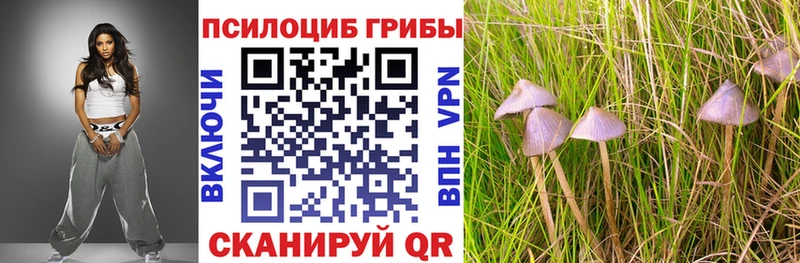 Галлюциногенные грибы прущие грибы  Трубчевск 